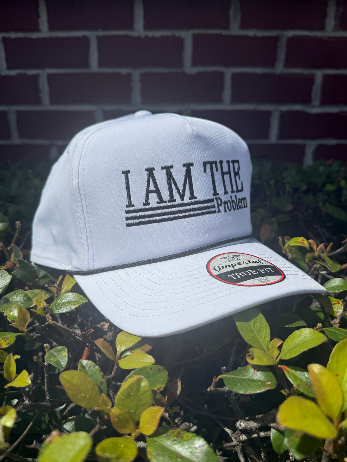 I Am The Problem Embroidered Hat