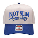 Not Slim Kinda Shady Embroidered Hat